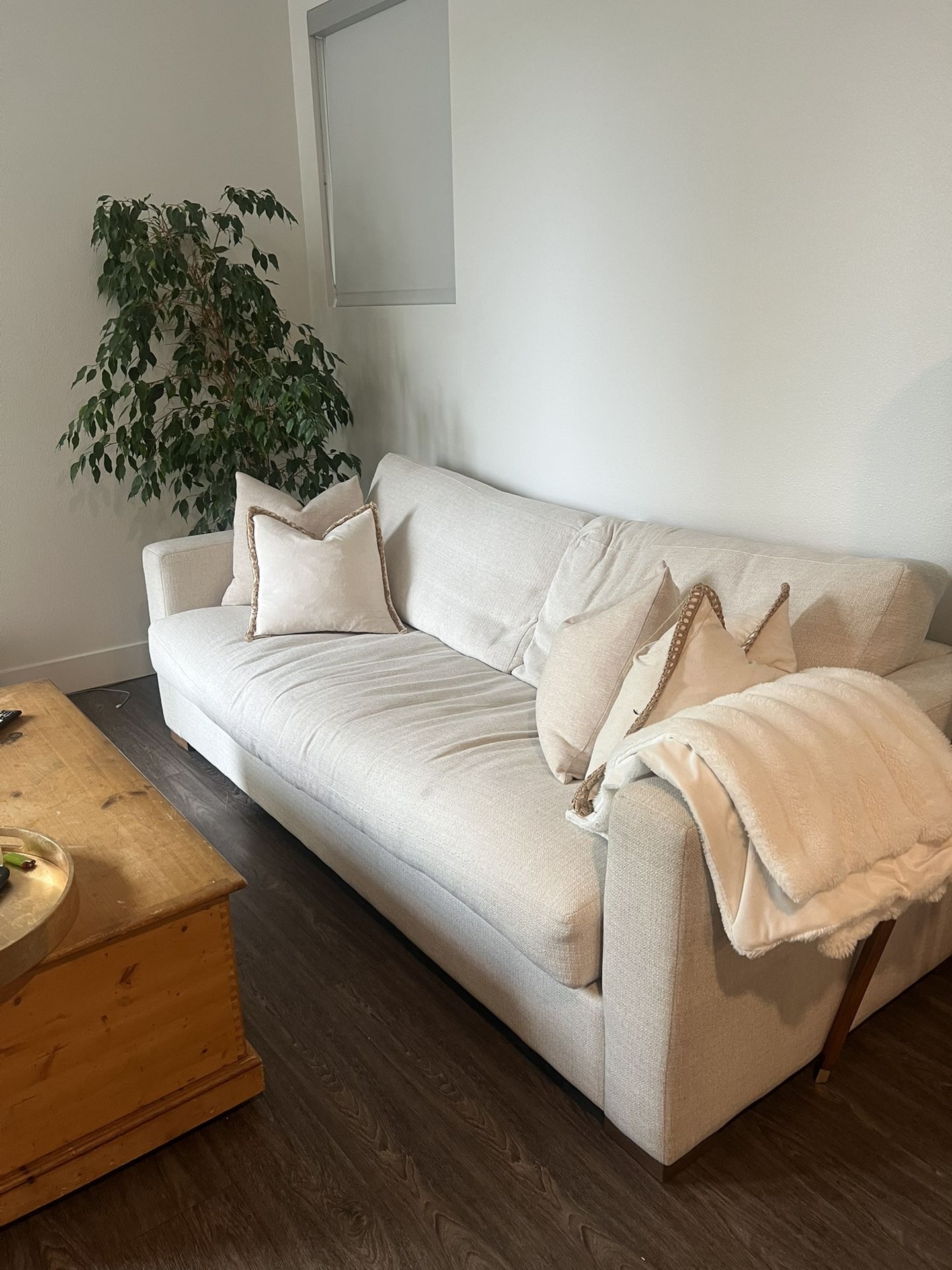 Free Couch