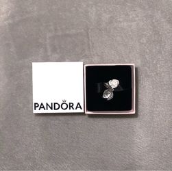 Pandora Charm