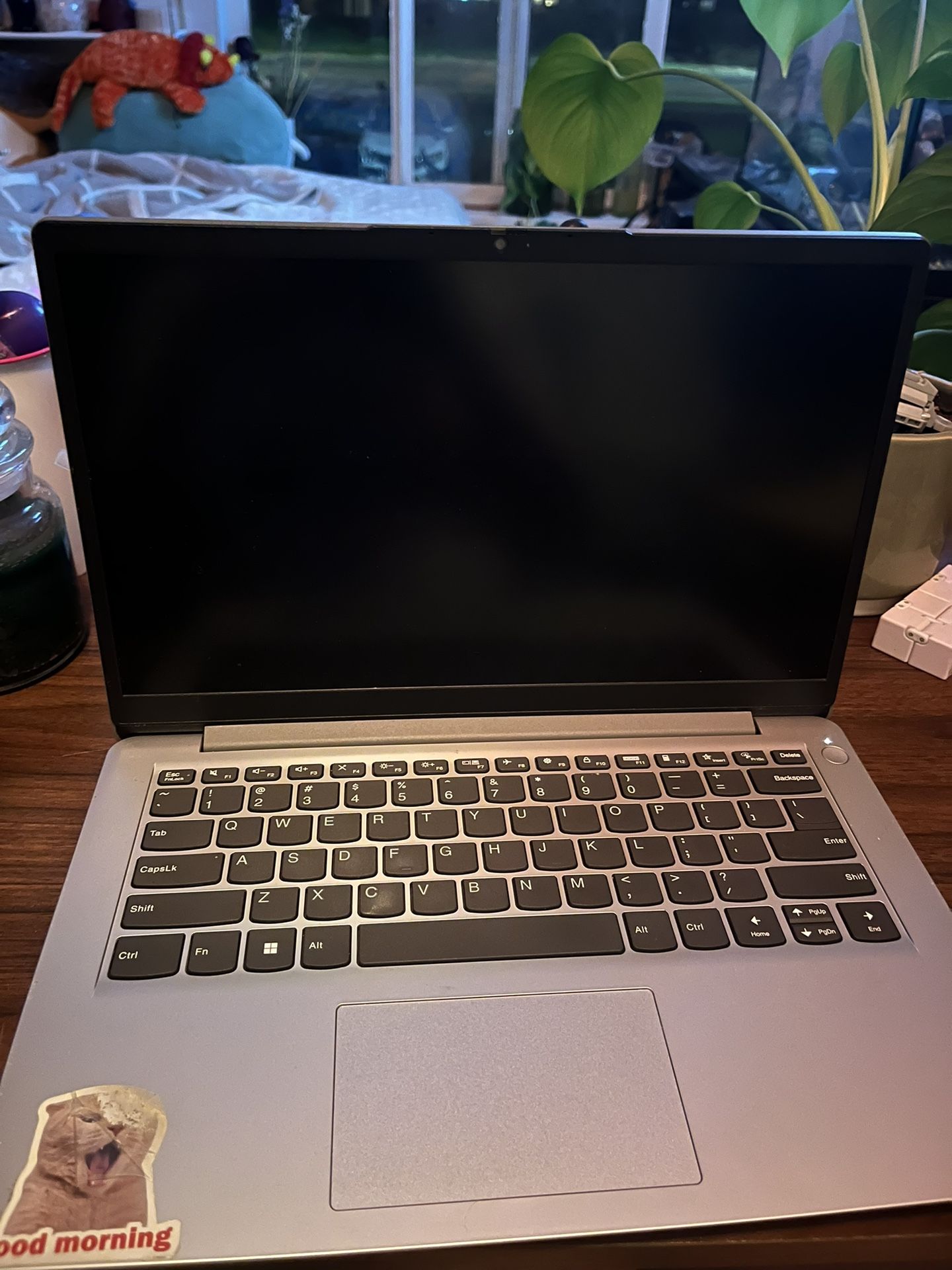 Lenovo Idea Pad