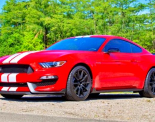 2.O.1.7 Ford Mustang Shelby