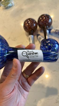 Set of 6 Hand-Blown Glass Plant Watering Bulbs – Plant Quencher