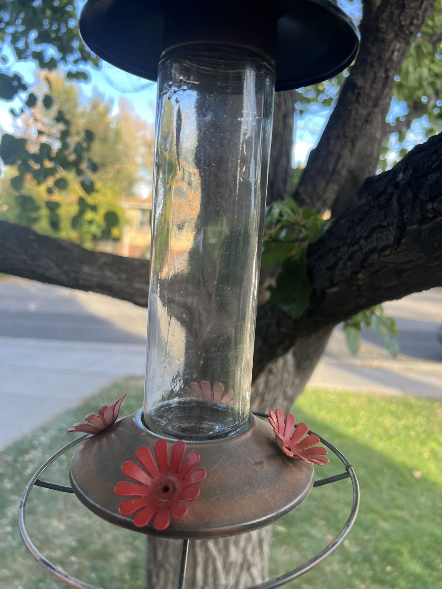 Hummingbird Feeder-12oz With Copper Accents