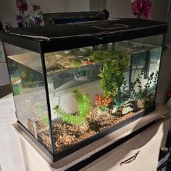 Large Fish tank + Filter 