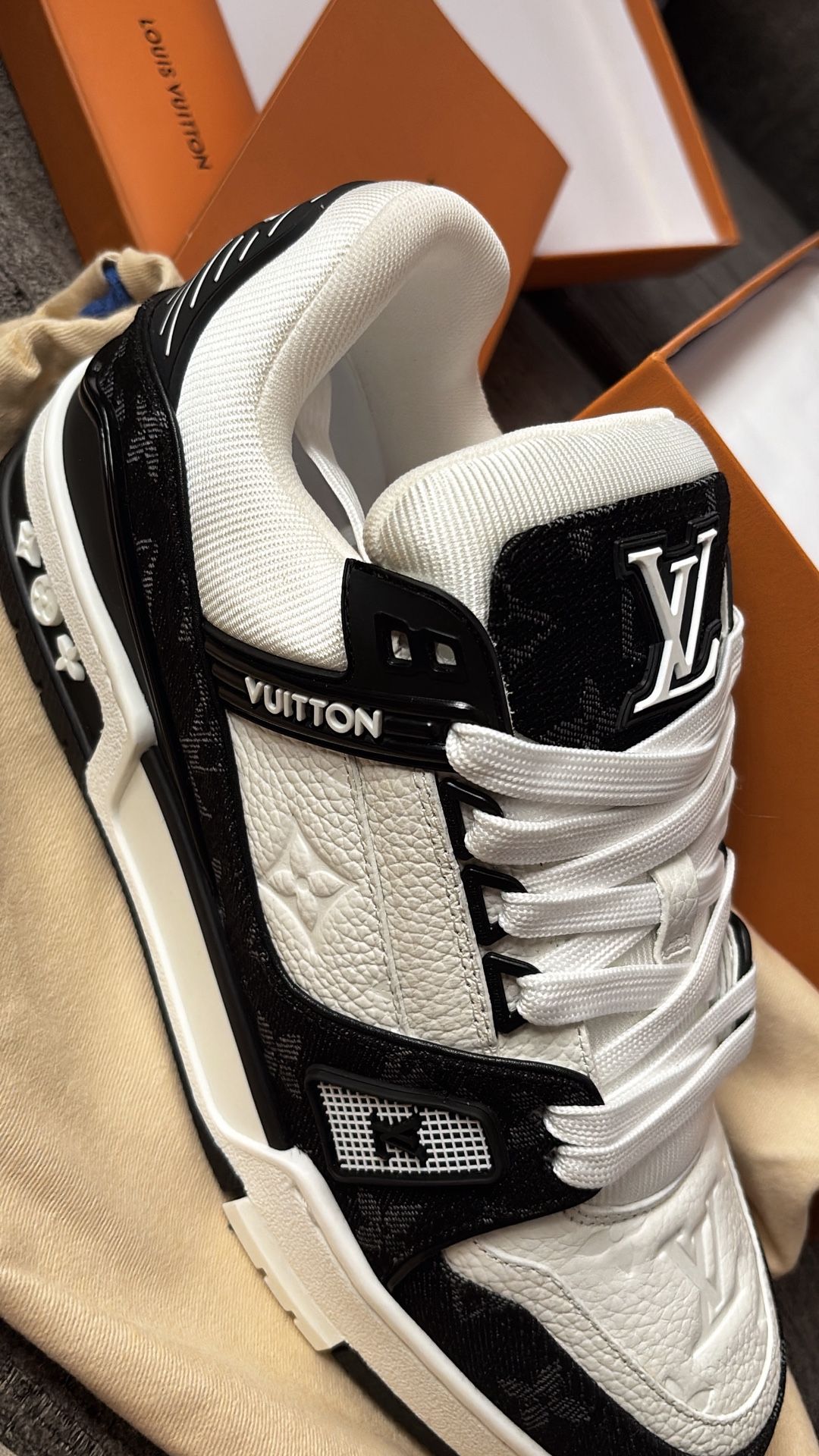 Louis Vuitton Shoes