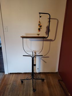 Parrot bird perch