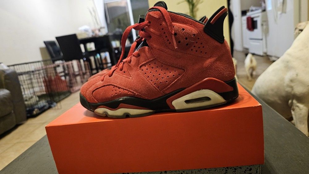 Jordan Retro 6 Toro Bravo 7.5