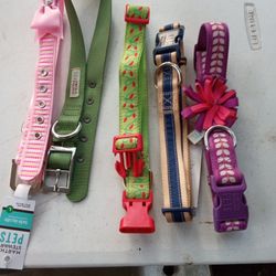 DOG COLLERS  (MARTHA STEWART)