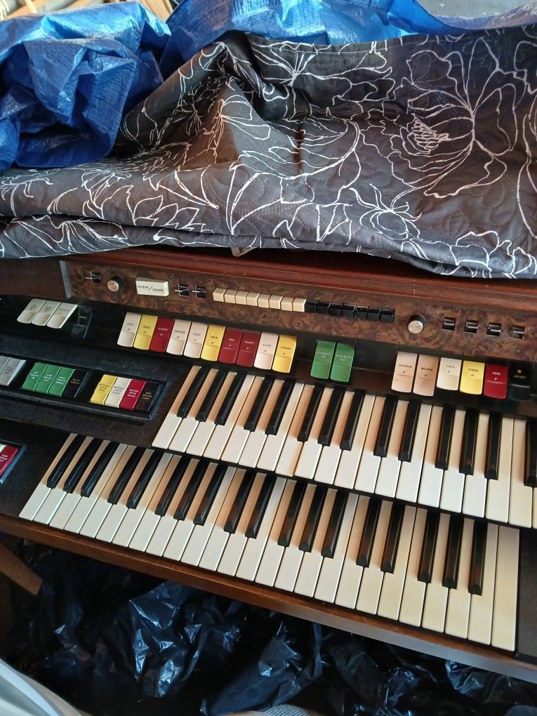 Organ