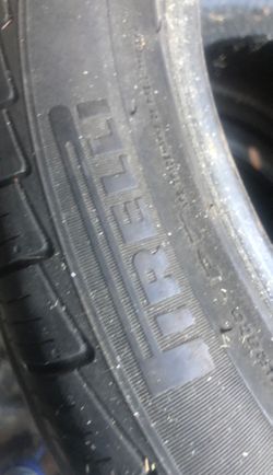 Pirelli cintura to all season