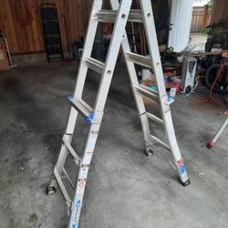Werner Adjustable Ladder 