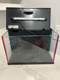 Betta Fish Tank 2.5 Gallon