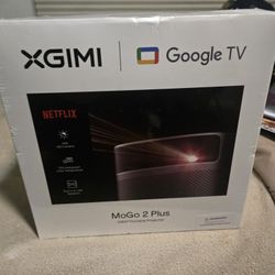 Google Portable Projector 