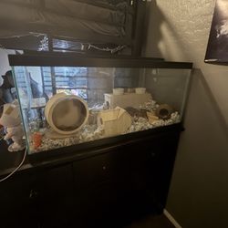 Hamster Cage