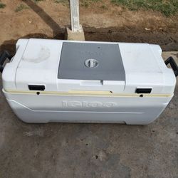 Igloo Cooler