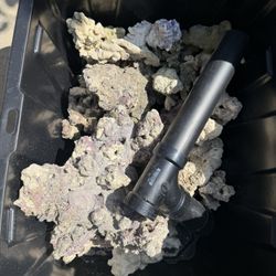 Saltwater Rock 