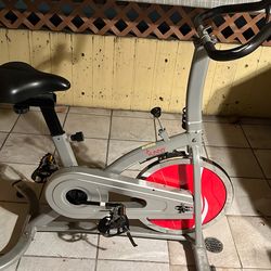 Sunny Wealth And Fitness Stationary Bike