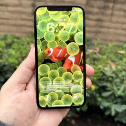 iPhone 12 · 64GB · Pristine Condition Like New ✨ Unlocked Any Carrier | Hablo Español