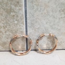 Gold Plated Earrings