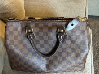 Louis Vuitton Damier Ebene Speedy Handbag