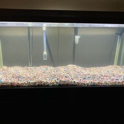 Fish tank (75gal)
