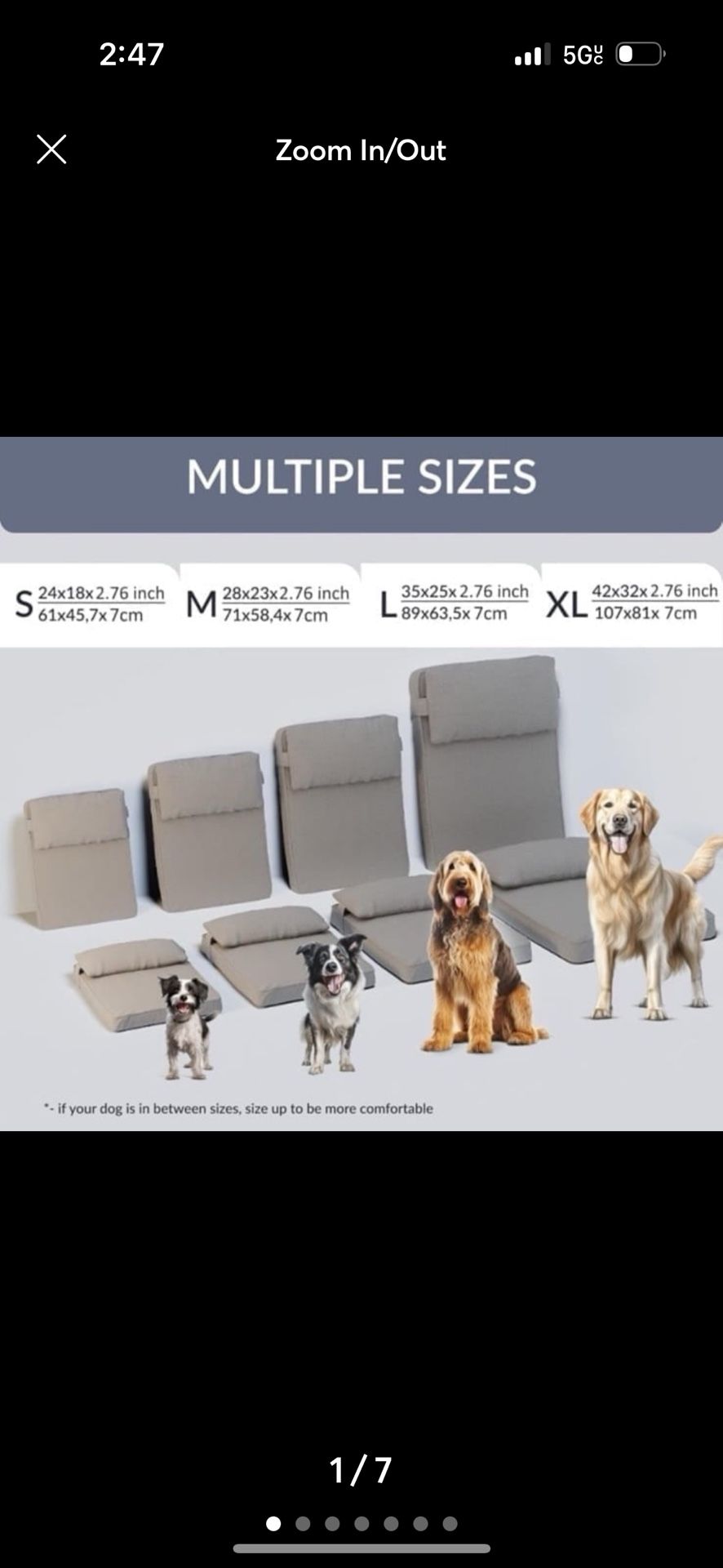 Dog Bed