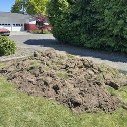FREE: Premium Puyallup Valley Soil & Sod Mix – Great for Berms, Filling, & Landscaping!