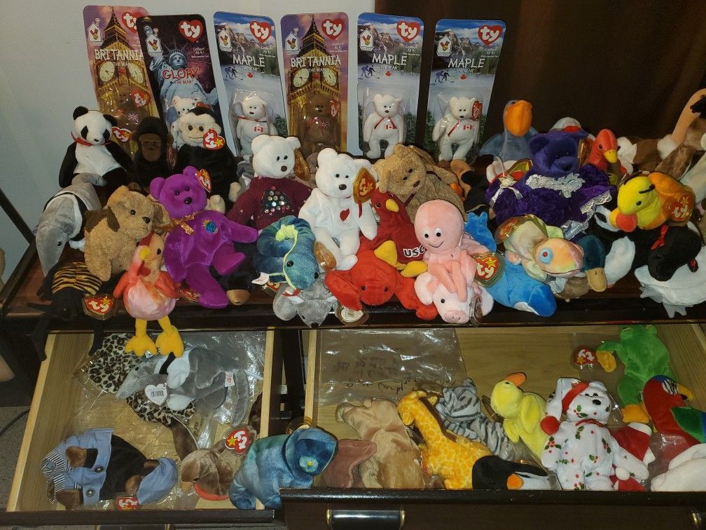 Beanie Baby's Collection