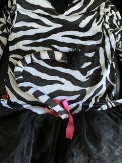 Zebra Halloween costume and Pom poms