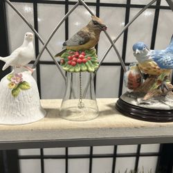 Bell 🔔 Birds 