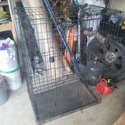 Dog Cage