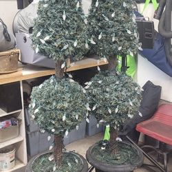 Topiary Trees