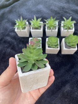 8 Piece Fake Plant Decor Thumbnail