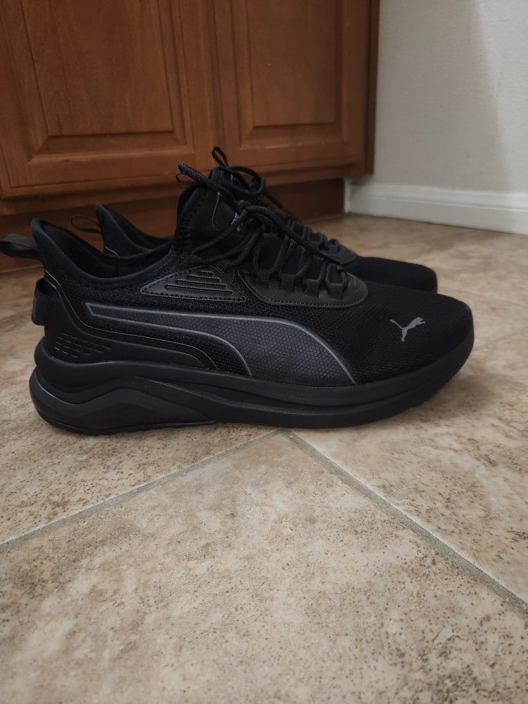 Black on Black Pumas