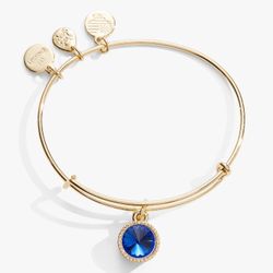 Alex And Ani Charm Bracelet