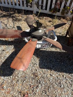 Fan with light and remote