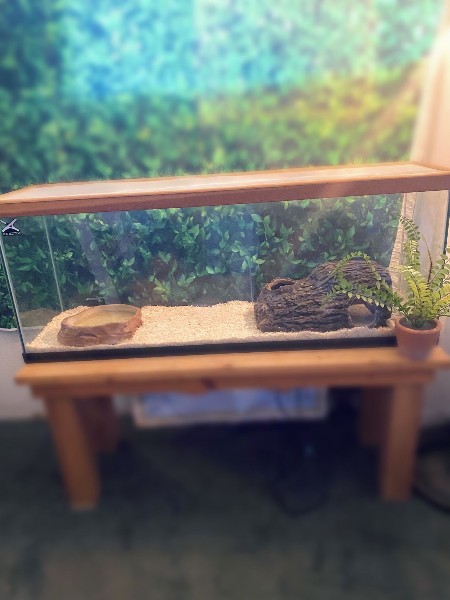 Reptile Tank