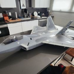 RC JET PLANE F22 DUAL 70MM BNF 6S