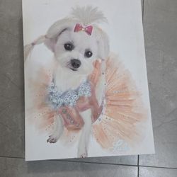 Fancy Dog Protrait