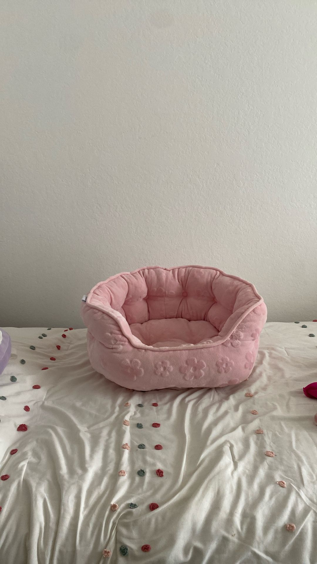 Dog Bed