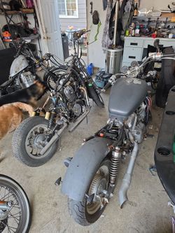 Sportster 1200 engine, Honda Shadow 750 , 1983 Honda magna