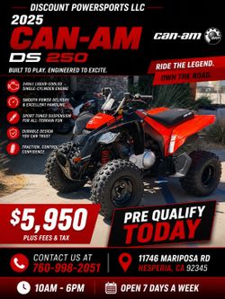 2025 Can-Am DS 250