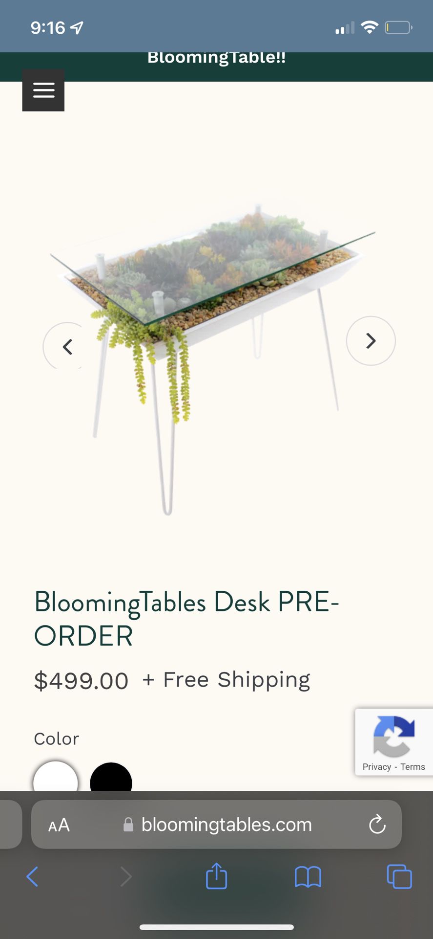 Blooming Table