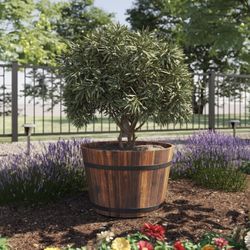 Wood/black Barrel outdoor/indoor