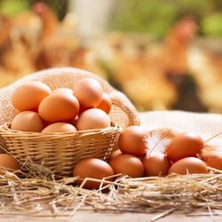 eggs are homemade, natural and very tasty
