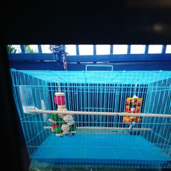 Brand New Bird Cage