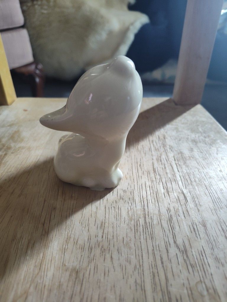 Sornamic Cat