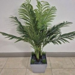 4ft Areca Palm with Lapiz Lazuli Stone / Gypsophila / Succulents in a Square Blue Planter @ Lasting Creations