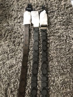 Coach Belts