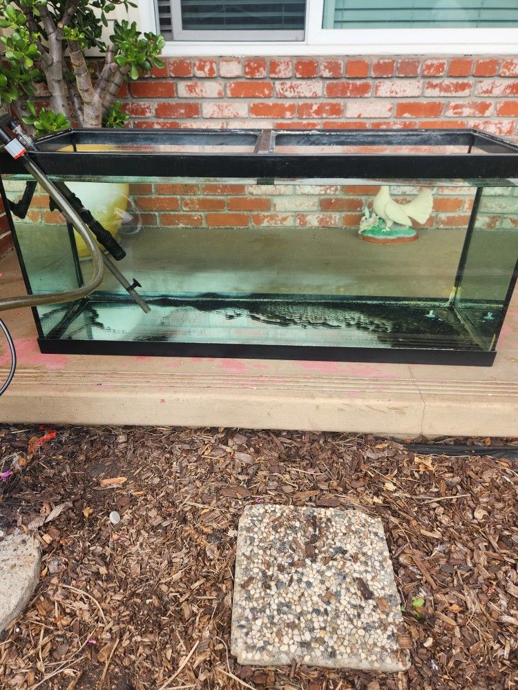 75 Gallon Aquarium/fish Tank 