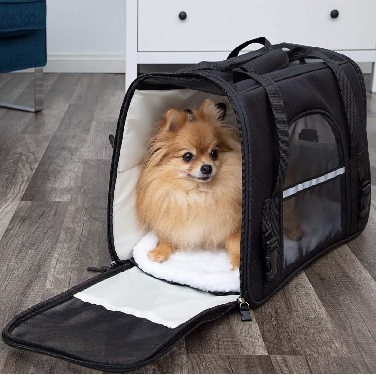Pet Carrier Airline Approved